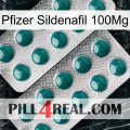 Pfizer Sildenafil 100Mg dapoxetine2